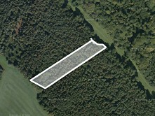 Prodej  lesa 9 463 m²